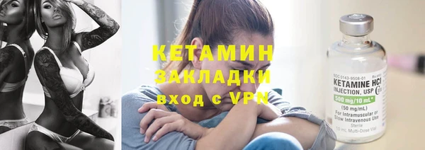 индика Костерёво