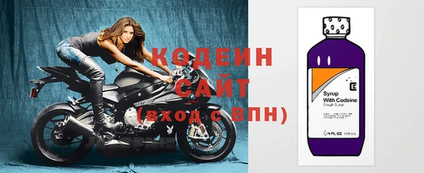 индика Костерёво
