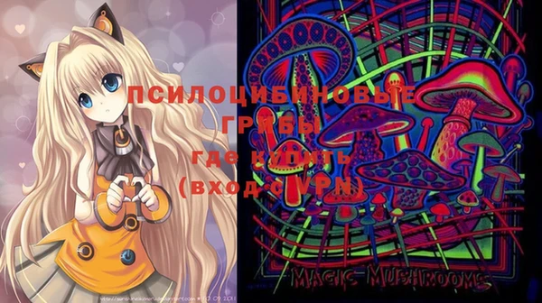 прущая мука Корсаков